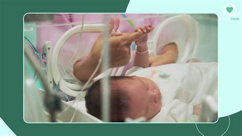 Image result for Heart Development Disorders