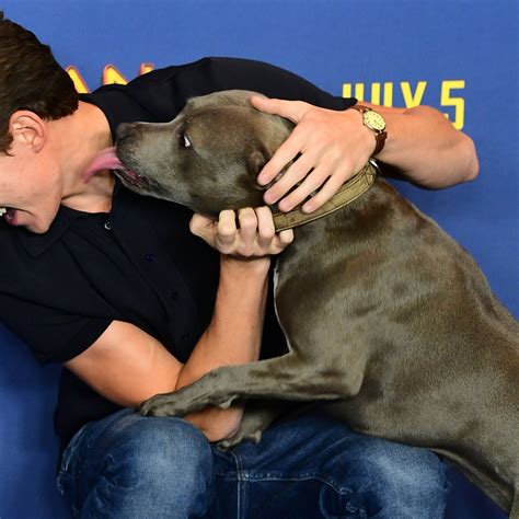 Can Men And Women Get Stuck During Sex Like Dogs