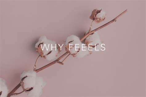 About Us – Feeels.in