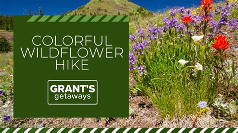 Hiking the Iron Mountain Trail in the Cascades | kgw.com