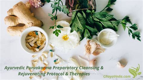 Ayurvedic Detox & Rejuvenating Protocol & Therapies & Purvakarma In ...