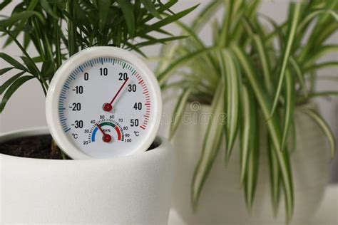 Image result for Flower Pot with Humidity Sensor