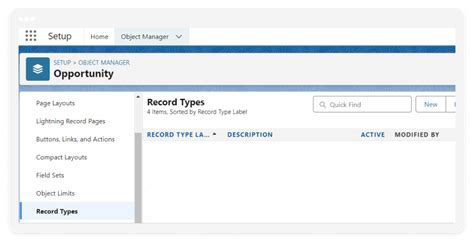 Image result for Create Record Types