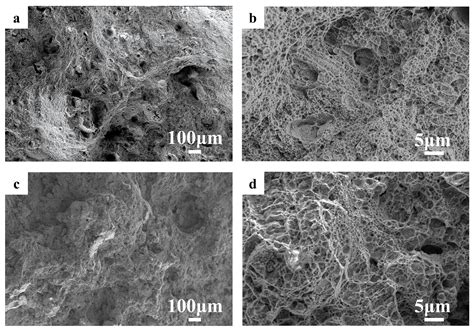Study on Microstructure and High-Temperature Mechanical Properties of ...