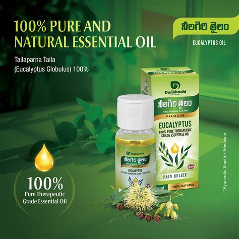 Buy Eucalyptus Oil |50 ML @ Lowest Price|Dwibhashi