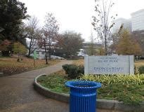 Georgia State University Admission 2025: Application Dates & Deadlines ...