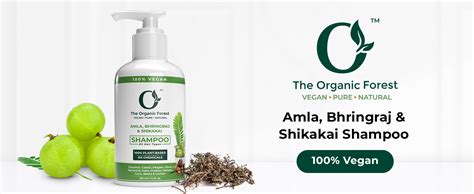 Buy Plant Based Organic Forest Amla, Bhringraj & Shikakai Shampoo for ...