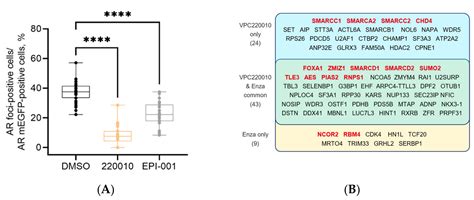 Development of an Androgen Receptor Inhibitor Targeting the N-Terminal ...