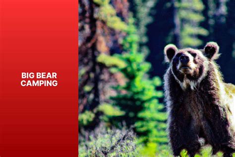 Best Big Bear Camping at Ralph Rutter blog