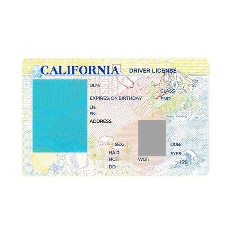 California Driver License Template by bobbyboggs182 on DeviantArt