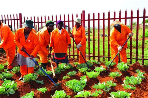 What Is Community Work 的图像结果