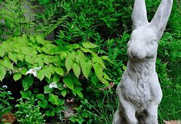 Image result for Rabbit Kissing Statue