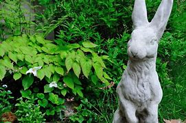Image result for Small Wild Rabbit Statue