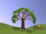 Image result for Teletubbies PBS Magic Tree
