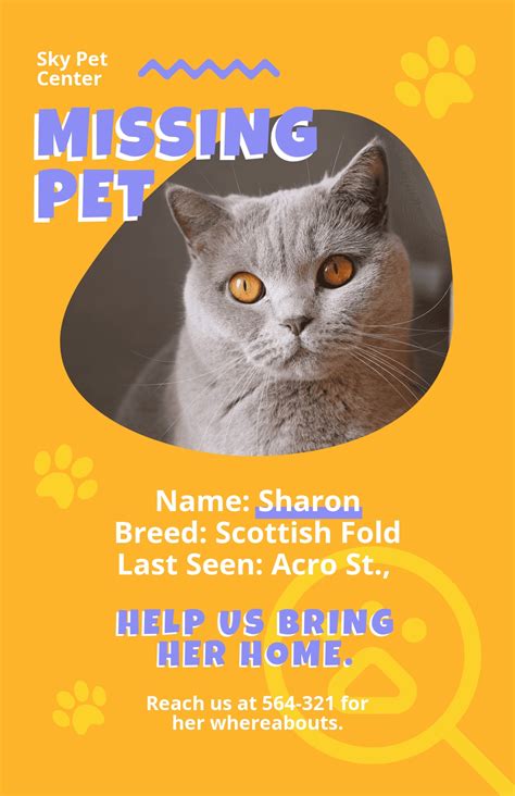 Missing Pet Poster Template