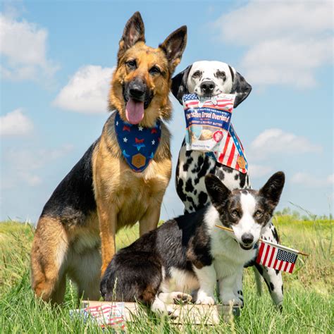 Dogs On Deployment – The Lazy Dog Cookie Co