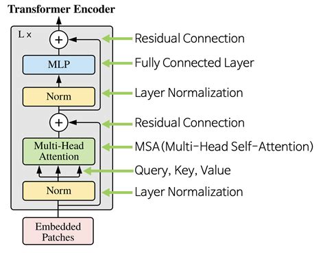 Vision Transformer 的图像结果