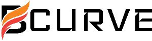 Website Design - Web Development - B Curve Technology