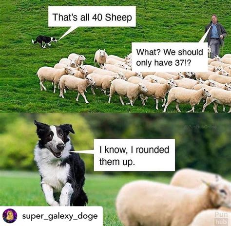 DADE CITY ANIMAL CLINIC - Dade City FL - Hours, Directions, Reviews ...