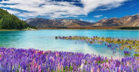 New Zealand Travel Guide | New Zealand Tourism - KAYAK