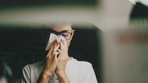 Fall Allergies: What to Know About Causes, Symptoms and Treatment - The New York Times