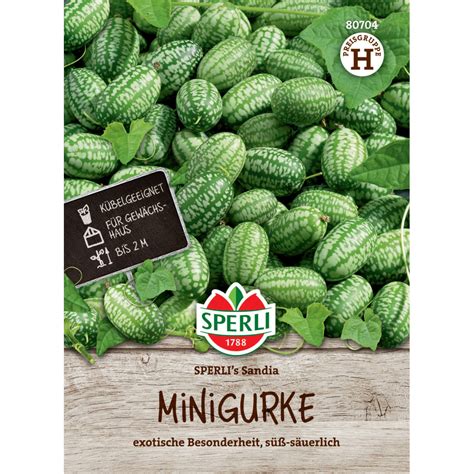 Sämerei-Mexikanische Minigurke ‚SPERLI´s Sandia‘ – Nimmervoll … Ihr ...