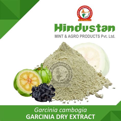 Garcinia (Vilayati Imli) Dry Extract Manufacturer Exporter India USA ...