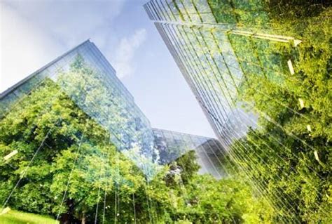 Image result for CIF Program