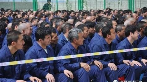 European Parliament members urge ICC to open probe into China's Uyghurs ...