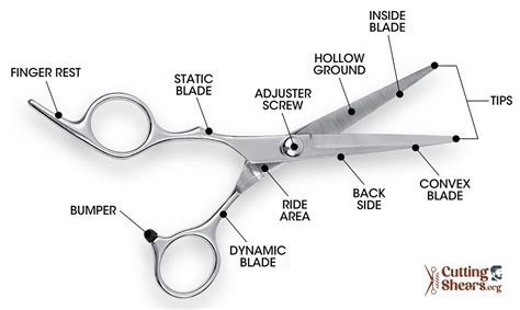 10 Most Important Parts Of Scissors? How Are They Made?