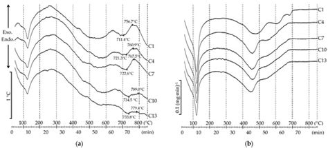 Effect of Chlorides Content on the Structure and Properties of Porous ...