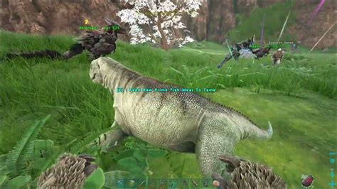 Desmodus Taming Guide 的图像结果