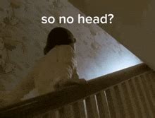 Daisy Randone GIFs | Tenor