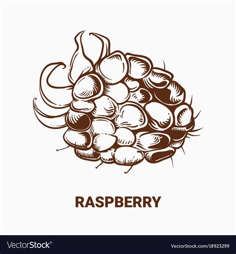 Image result for Draw Raspberry