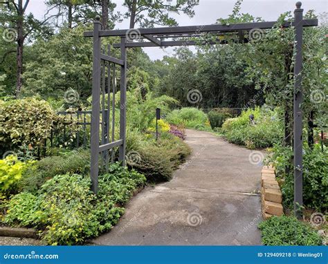 Idea Garden in Tyler Rose Garden Texas USA Editorial Stock Photo ...