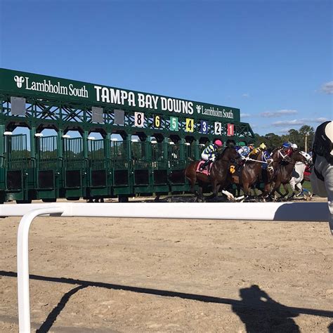TAMPA BAY DOWNS (2026) All You Need to Know BEFORE You Go (with Photos ...