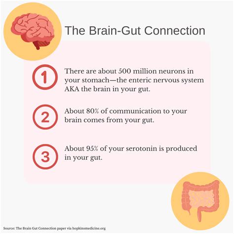 What Is German New Medicine? - Breast Cancer Conqueror
