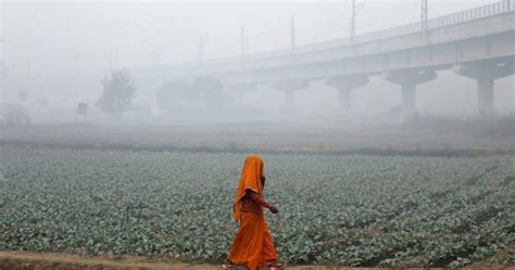 Image result for Particulates Health Effects