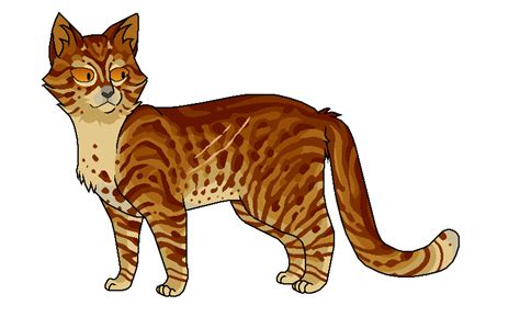 Бурый | Коты-воители вики | Fandom