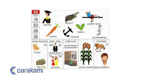 Image result for Robot Simulation in Python