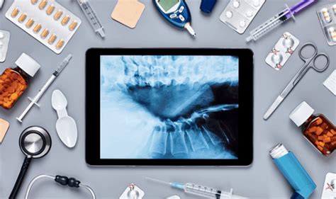 Image result for Design Review Process Medical