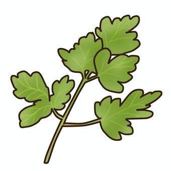 Image result for Un Sample Script
