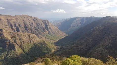 Simien View Tour & Travel (Gonder) - 2022 What to Know Before You Go ...