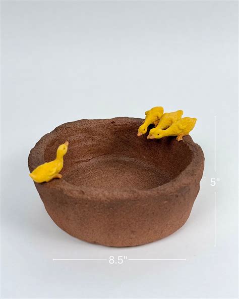 Duck Bowl Planter Showpiece – High Objects