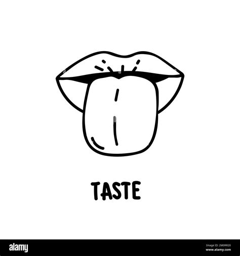Human tongue taste buds Stock Vector Images - Alamy