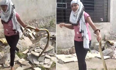 Girl caught King Cobra with one hand in 5 seconds, Video Viral