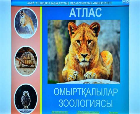 Для учителей биологии разработан интерактивный атлас по «Зоологии ...