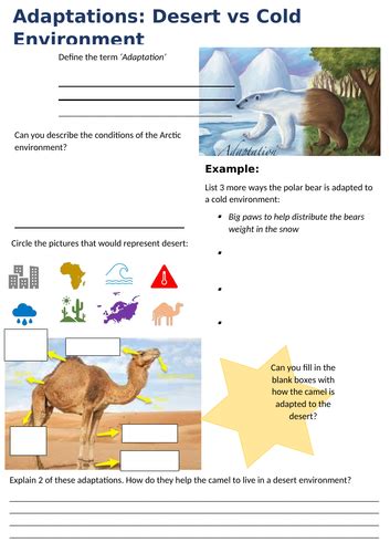 Adaptations KS3 的图像结果
