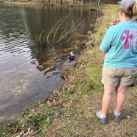 ROOSEVELT STATE PARK (Morton) - 2026 Campground Reviews & Photos ...