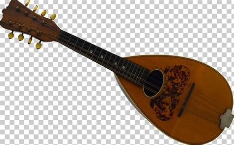 Image result for Plucked String Instrument